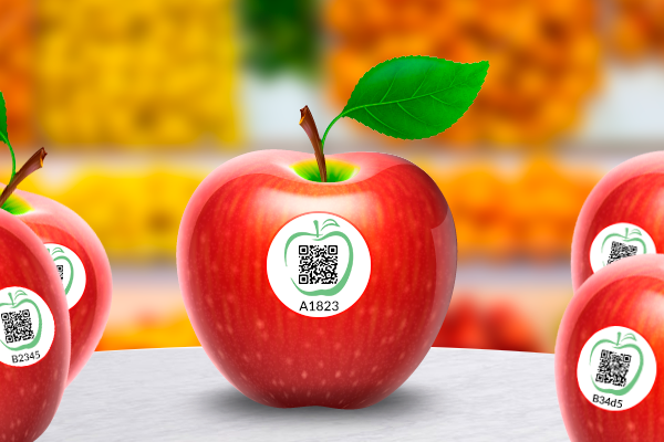 Food traceability with QR codes case study